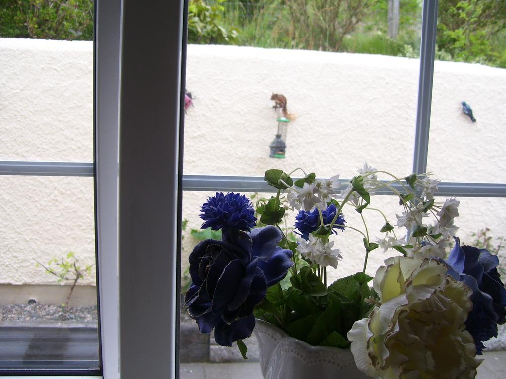 Lurig View B&B Glenariffe Екстер'єр фото