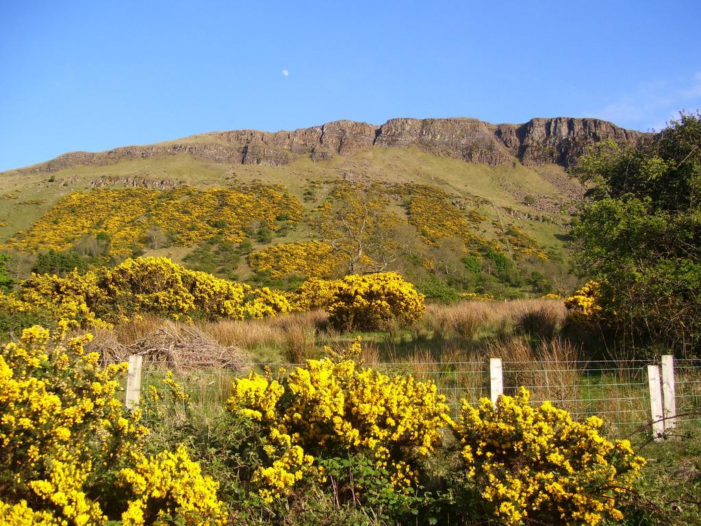 Lurig View B&B Glenariffe Екстер'єр фото